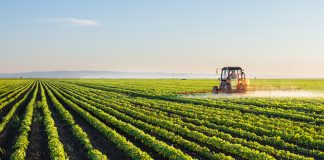 IPARD II/ Aplikimi për pajisje bujqësore, lehtësira për investimet nën 100 000 euro