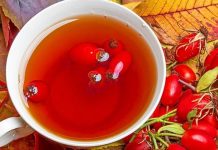 Njihuni me bimët mjekësore më të mira për shëndetin e trurit dhe gjithë organizmit