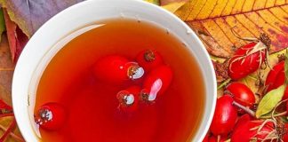 Njihuni me bimët mjekësore më të mira për shëndetin e trurit dhe gjithë organizmit