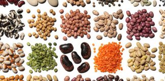 Shqipëria lider në Rajon për kultivimin e bishtajorëve, ja shifrat