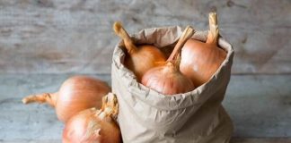 Kurat natyrale për qarkullim më të mirë të gjakut dhe kundër trombozës