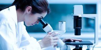 BE jep deri në 100 mijë euro për gratë shkencëtare, në listë edhe Shqipëria