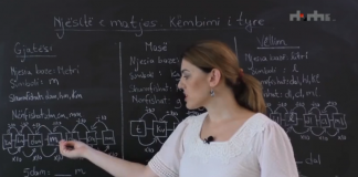 Mësim nga shtëpia/ Nga java e ardhshme, leksione online edhe për nxënësit e fillores