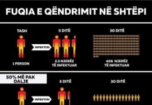 Grafika/ Fuqia e qëndrimit në shtëpi! Shpëto veten dhe shoqërinë