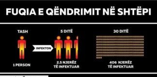 Grafika/ Fuqia e qëndrimit në shtëpi! Shpëto veten dhe shoqërinë