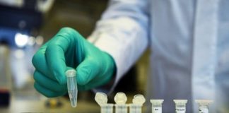 Shkencëtarët australianë: Sistemi imunitar i njeriut është në gjendje të luftojë koronavirusin