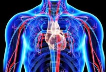 Për një sistem imunitar të shëndetshëm, ja kujdesi që ju duhet