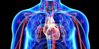 Për një sistem imunitar të shëndetshëm, ja kujdesi që ju duhet