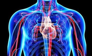 Për një sistem imunitar të shëndetshëm, ja kujdesi që ju duhet