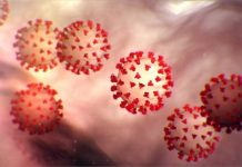 Shpresë nga mjekësia/ Shkencëtarët zhvillojnë ilaçin e parë që neutralizon COVID-19