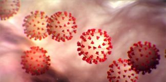 Shpresë nga mjekësia/ Shkencëtarët zhvillojnë ilaçin e parë që neutralizon COVID-19