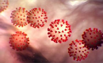 Shpresë nga mjekësia/ Shkencëtarët zhvillojnë ilaçin e parë që neutralizon COVID-19