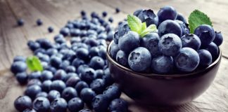 Si po kthehet kultivimi masiv i boronicave nga fermerët shqiptarë në biznes fitimprurës