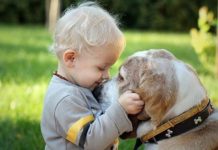 Luani dhe argëtohuni të qetë me kafshët tuaja shtëpiake