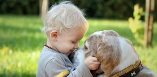 Luani dhe argëtohuni të qetë me kafshët tuaja shtëpiake