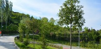 Destinacioni i preferuar, shtohen pikat rekreative në Parkun e liqenit të Farkës