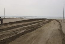 Lezha përgatitet për sezonin turistik, pastrohet plazhi i Shëngjinit