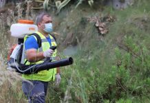 Sezon turistik i sigurt, vijon dezinsektimi në zonat bregdetare
