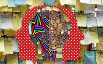 MJEKËSI/ Gjendet çelësi i superkujtesës, që ju lejon të mbani mend detajet më të vogla