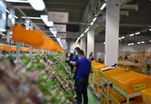 Italia partneri i parë tregtar i Shqipërisë, miliarda lekë shkëmbime tregtare