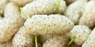 Vlerat shëndetësore të manave të bardha për diabetin dhe artritin