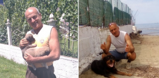 Njihuni me elektricistin nga Durrësi që kujdeset vullnetarisht për 30 qen e mace rruge (FOTOT)