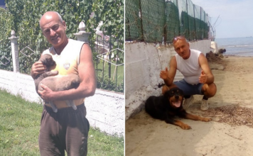 Njihuni me elektricistin nga Durrësi që kujdeset vullnetarisht për 30 qen e mace rruge (FOTOT)