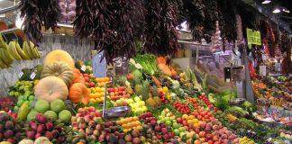 Mollë në vend të kafesë së mëngjesit? Disa fakte interesante që duhet t’i dini për frutat