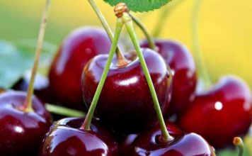 Frutat që s’duhet të mungojnë në tryezë gjatë verës, si t’i zgjidhni