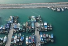 Njihet veçanarisht për krapin, në Shirokë ngrihet qendra e ankandit të tregtimit të peshkut