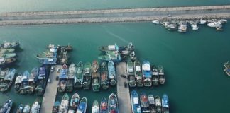 Njihet veçanarisht për krapin, në Shirokë ngrihet qendra e ankandit të tregtimit të peshkut