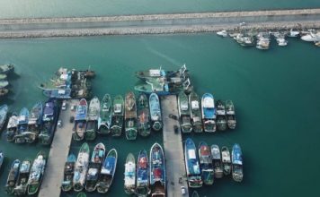 Njihet veçanarisht për krapin, në Shirokë ngrihet qendra e ankandit të tregtimit të peshkut