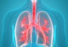 Vitamina që mbron mushkëritë, në cilat ushqime mund t’i gjejmë