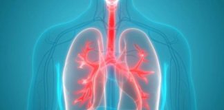 Vitamina që mbron mushkëritë, në cilat ushqime mund t’i gjejmë