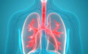 Vitamina që mbron mushkëritë, në cilat ushqime mund t’i gjejmë