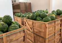 Bostani i Divjakës “markë ndërkombëtare”, 80% e prodhimit shkon në vendet e BE