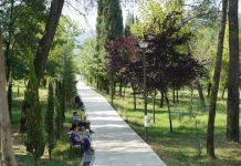 200 stola me dedikim i shtohen Parkut të Liqenit, si të bëheni pjesë e nismës
