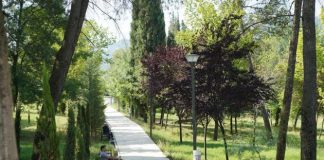 200 stola me dedikim i shtohen Parkut të Liqenit, si të bëheni pjesë e nismës
