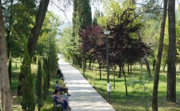 200 stola me dedikim i shtohen Parkut të Liqenit, si të bëheni pjesë e nismës