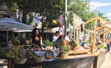 Gjirokastra, 15 vjet në UNESCO, ja aktivitetet që u presin për 5 ditë