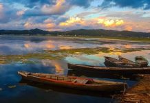 FOTOT/ Parku Divjakë-Karavasta, shihni peizazhet mahnitëse që s’do ti harroni kurrë