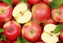 STUDIMI/ Frutat më të mira për të rënë në peshë, vlerat për organizmin