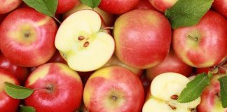 STUDIMI/ Frutat më të mira për të rënë në peshë, vlerat për organizmin