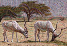 Inteligjenca artificiale zbulon sekretet e imagjinatës