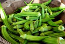 BAMJET, “minierë” mineralesh dhe lëndësh ushqyese. Efektet e mrekullueshme në organizëm