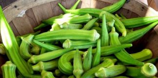 BAMJET, “minierë” mineralesh dhe lëndësh ushqyese. Efektet e mrekullueshme në organizëm