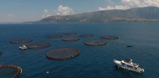 Përcaktohen zonat prioritare për zhvillimin e akuakulturës, kapaciteti rreth 10 mijë ton peshk në vit