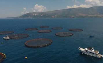 Përcaktohen zonat prioritare për zhvillimin e akuakulturës, kapaciteti rreth 10 mijë ton peshk në vit