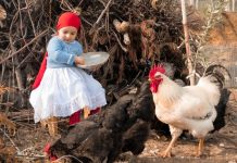 Njihuni me 10 FOTOT finaliste të konkursit “Bujqësia dhe Turizmi”