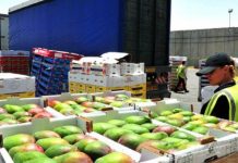 Eksporti i fruta-perimeve u rrit me 16.4% në qershor, ja produktet më të preferuara shqiptare jashtë kufijve